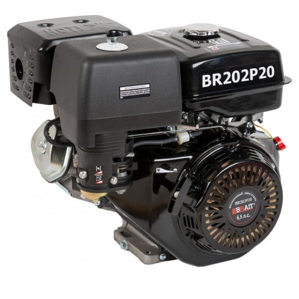 Двигатель 6,5 л.c. d=19мм. Brait BR202P19PRO 03.01.151.035 в Междуреченске