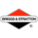 Двигатели Briggs-Stratton в Междуреченске